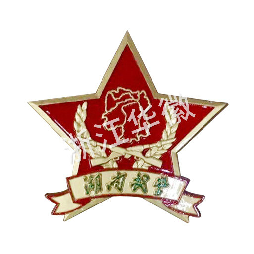 湖南武警